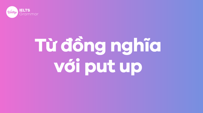 Từ đồng nghĩa của put up