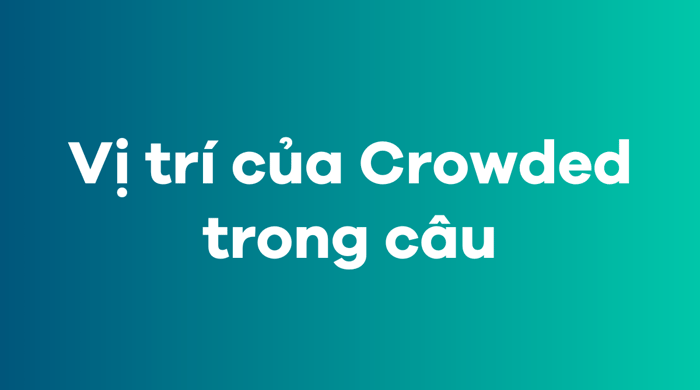 Vị trí của từ crowded trong câu