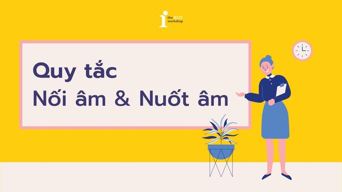 Quy tắc Liên âm và Hấp thụ âm