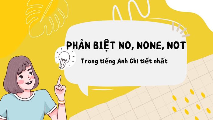 Phân biệt No, None, Not trong tiếng Anh chi tiết nhất