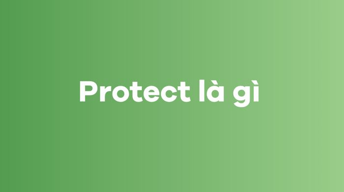 What is Protect