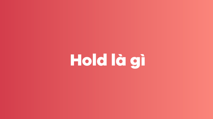 Nghĩa của hold là gì