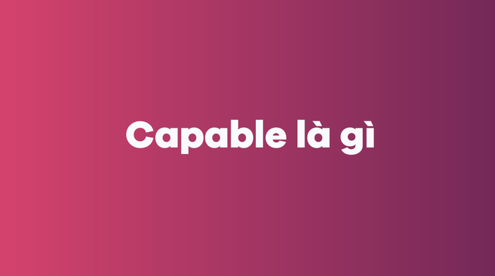 Ý nghĩa của Capable là gì