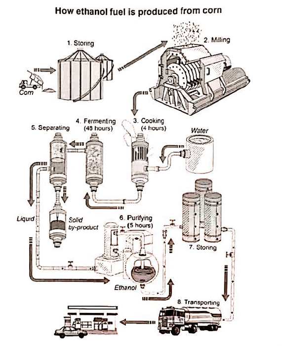 process ethanol production task 1 18.01.2020