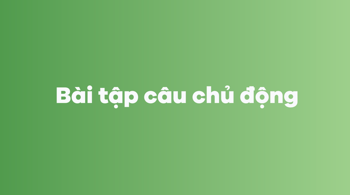 Bài tập câu hỏi động (Active Voice) trong tiếng Anh