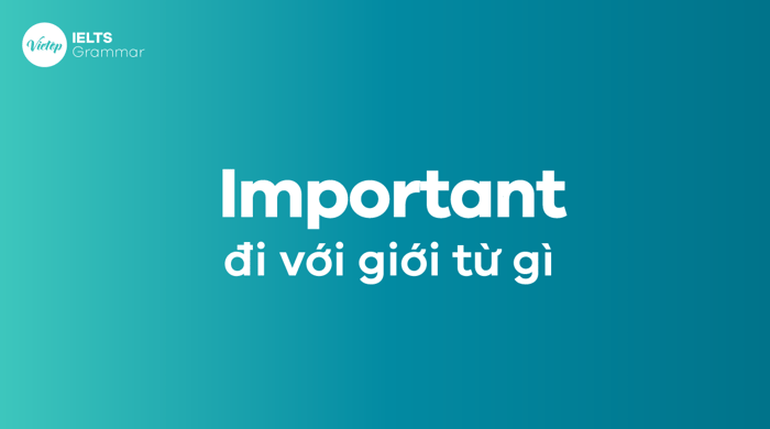 Important + điều gì Important đi với giới từ gì 