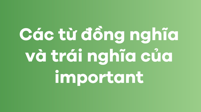 Từ đồng nghĩa và từ trái nghĩa của important