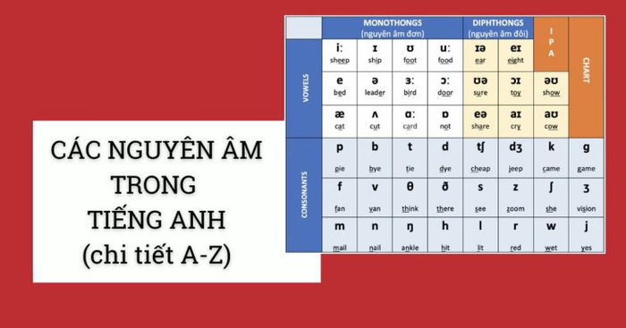 Phân loại nguyên âm theo bảng chữ cái