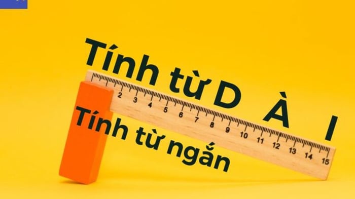 Cách sử dụng tính từ dài trong tiếng Anh