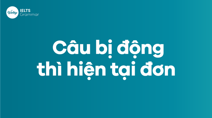 Cấu trúc, cách sử dụng và bài tập của câu bị động thì hiện tại đơn