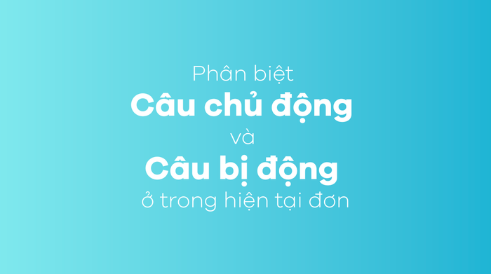 Phân biệt câu chủ động và câu bị động trong thì hiện tại đơn