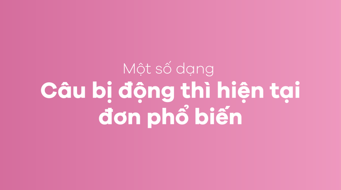 Các dạng câu bị động trong thì hiện tại đơn phổ biến