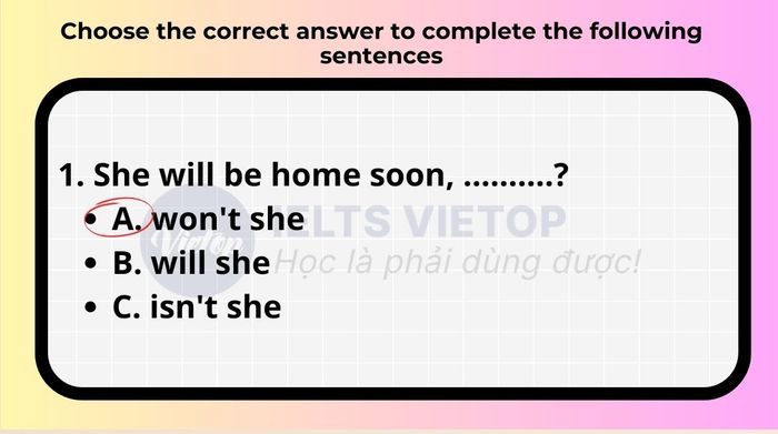 Choose the correct answer to complete the following sentences