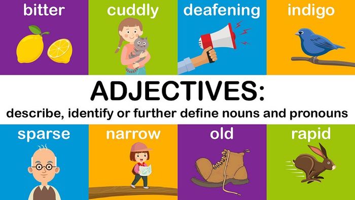 Phân biệt Adverb và Adjective (Trạng từ và Tính từ)