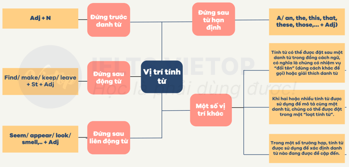 Vị trí của tính từ trong câu