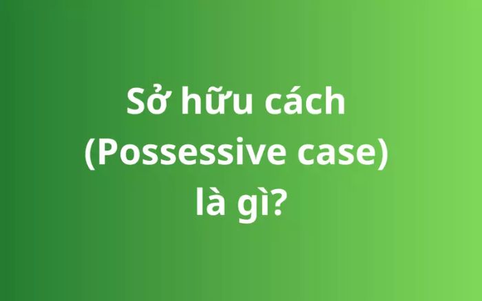 Sở hữu cách là gì?