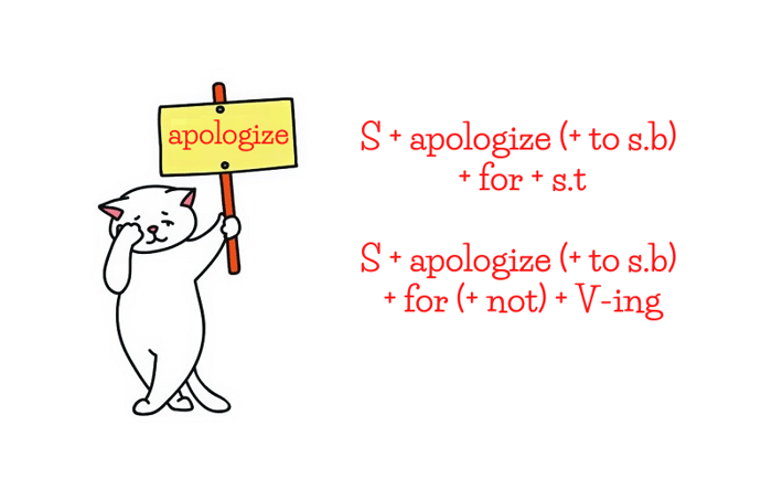 Structure of Apologize