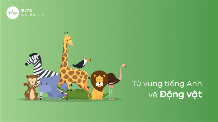 English vocabulary related to animals