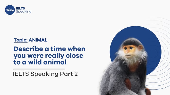 Describe an instance when you came close to wild animals - IELTS Speaking part 2, 3