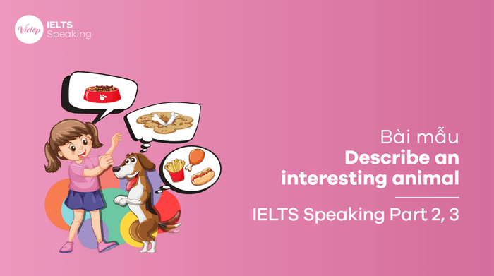 Mẫu câu trả lời Describe an interesting animal IELTS Speaking part 3