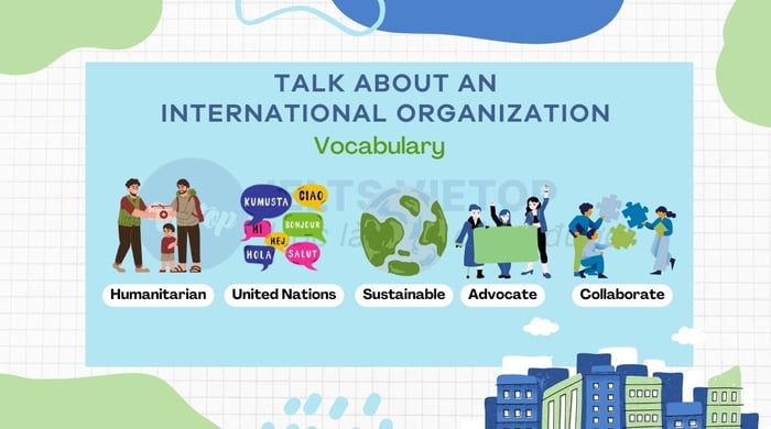 Vocabulary related to discussing an international organization