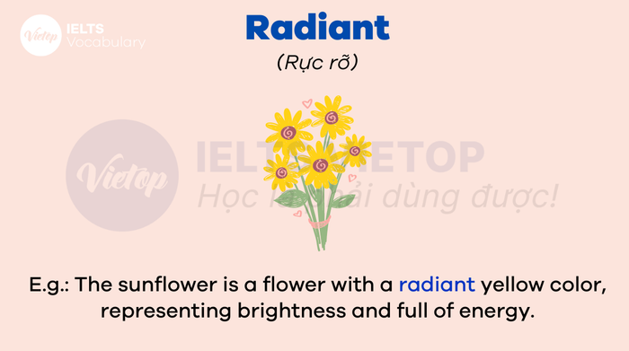 English vocabulary about flowers