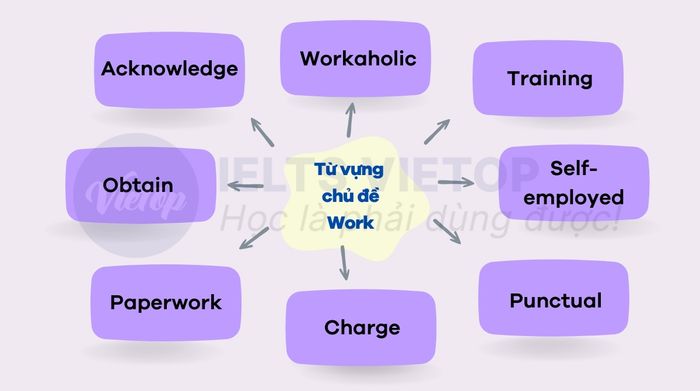 từ vựng tiếng anh theo chủ đề kỳ thi đại học