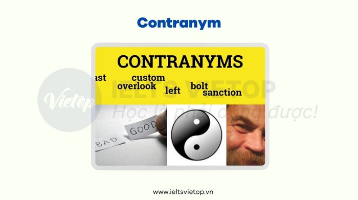 what is a contranym