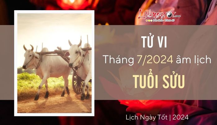 Tu vi thang 6/2024 cho tuoi Suu am lich