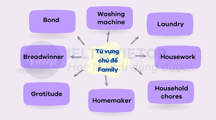 từ vựng tiếng anh theo chủ đề kỳ thi đại học