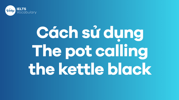 Usage of the Idiom 'The pot calling the kettle black'