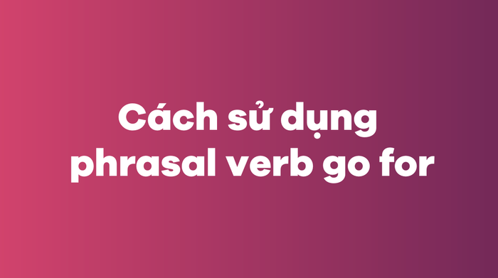 Phương thức sử dụng phrasal verb go for