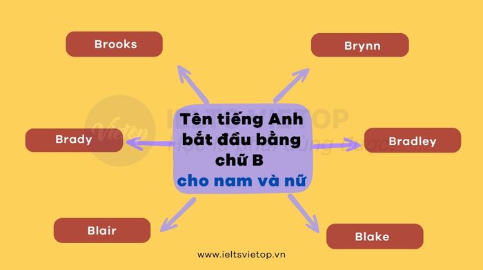 Tên tiếng Anh bắt đầu bằng chữ B