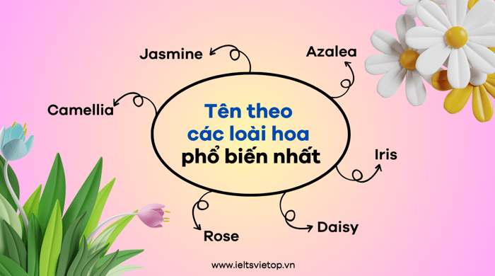 Danh sách các loài hoa bằng tiếng Anh