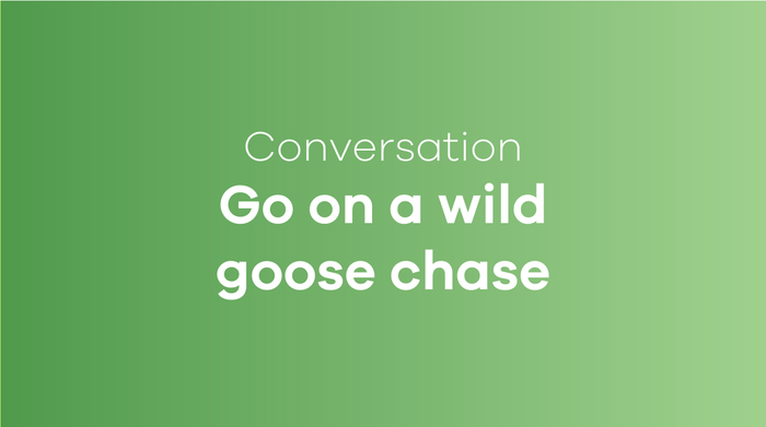 Go on a wild goose chase