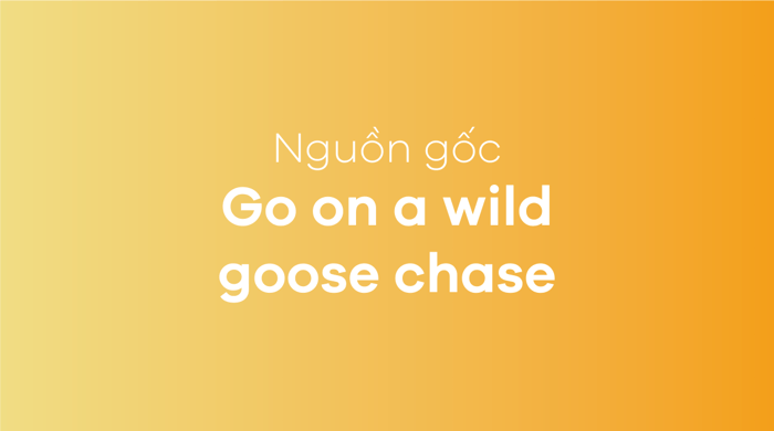 The idiom Go on a wild goose chase