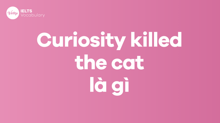 Curiosity killed the cat nghĩa là gì? Áp dụng trong giao tiếp