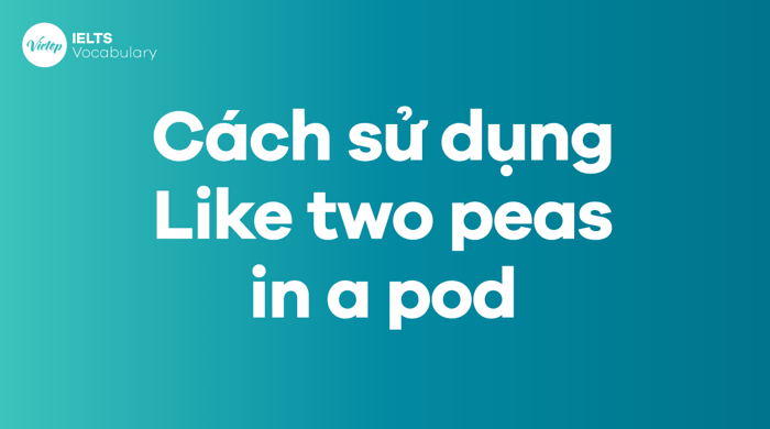 Phương pháp sử dụng Idiom Like two peas in a pod