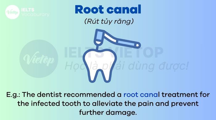 Thuật ngữ tiếng Anh trong lĩnh vực Y khoa