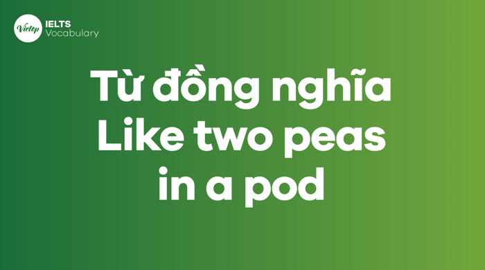 Các từ, cụm từ đồng nghĩa với thành ngữ Like two peas in a pod