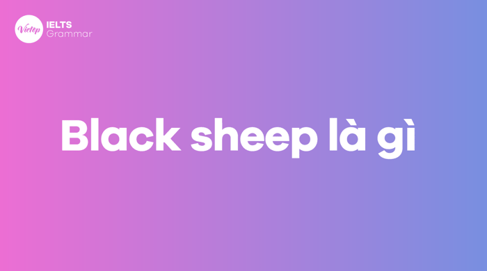 What is the meaning of black sheep