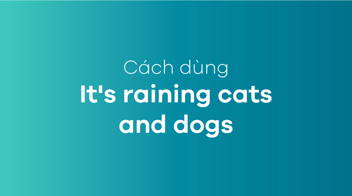 It's pouring cats and dogs