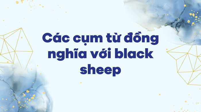 Synonyms for black sheep phrases