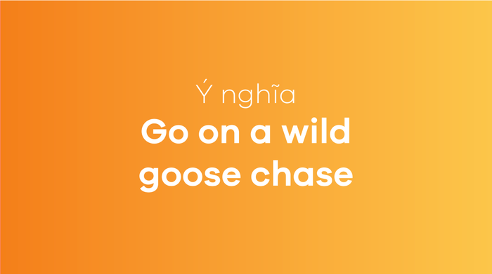 Go on a wild goose chase