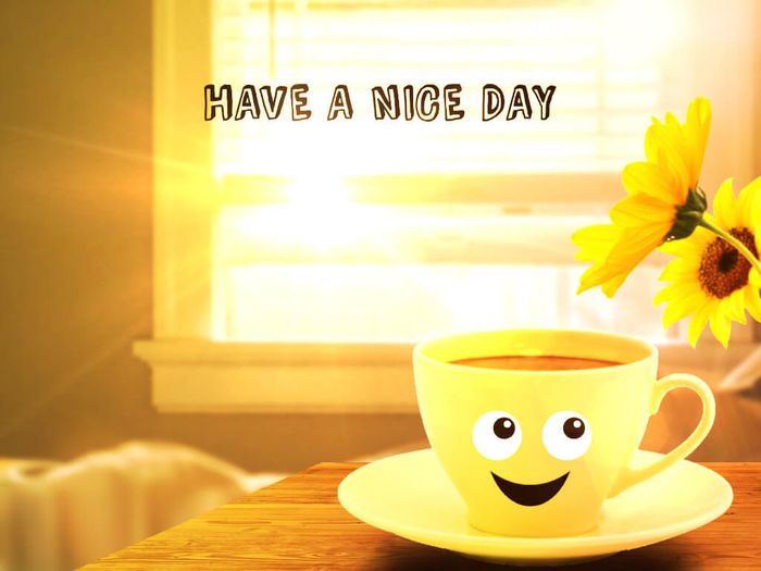 Have a nice day là gì