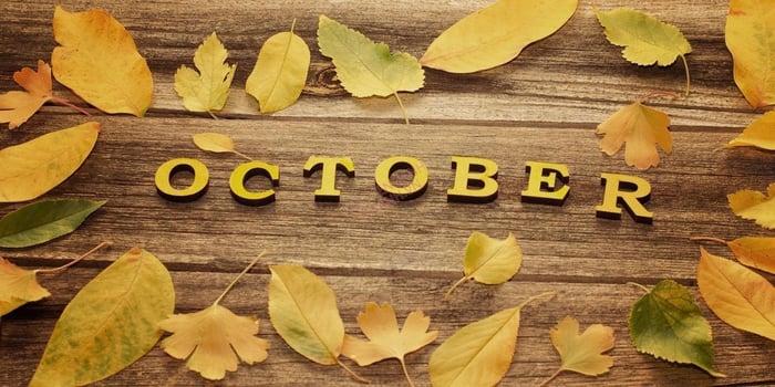 Cách sử dụng từ October trong câu