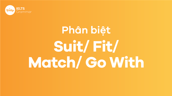 Phân loại Suit - Fit - Match - Go With