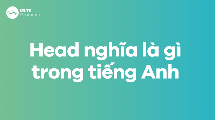 Head trong tiếng Anh có nghĩa là gì?