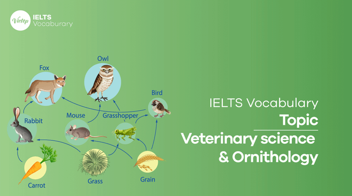 IELTS Vocabulary on Veterinary Science and Ornithology