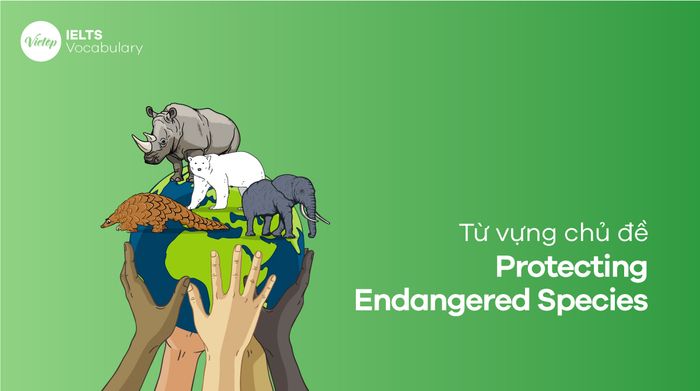 Từ vựng về Safeguarding Threatened Species